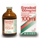 ENRODEXIL FL 100ML 100MG/ML