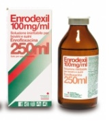 ENRODEXIL FL 250ML 100MG/ML