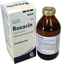 ROXACIN INIET 250ML 100MG/ML