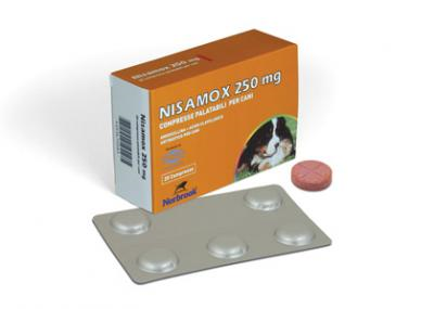 NISAMOX 20CPR 250MG