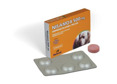 NISAMOX 10CPR 500MG
