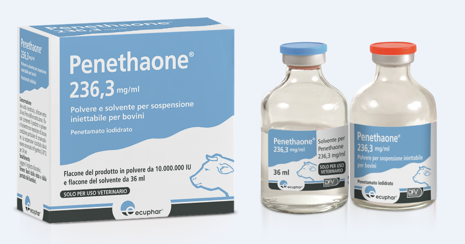 PENETHAONE FL 9,50G+FL SOLV PENETHAONE FL 9,50G+FL SOLV