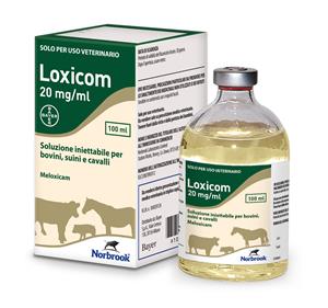 LOXICOM INIET 100ML 20MG/ML FL LOXICOM INIET 100ML 20MG/ML FL