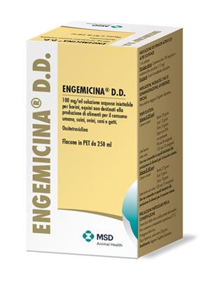 ENGEMICINA D.D. INIET FL 250ML