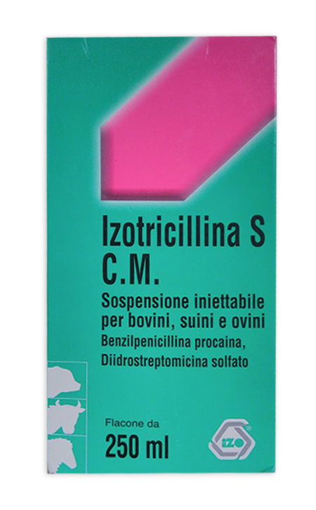 IZOTRICILLINA S C.M. FL 250ML IZOTRICILLINA S C.M. FL 250ML