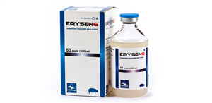ERYSENG IM BOTT 100ML 50D PET