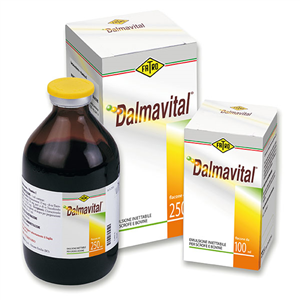 DALMAVITAL IM 1FL 100ML