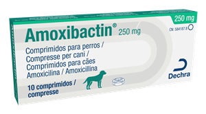 AMOXIBACTIN 10CPR 250MG