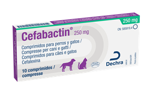 CEFABACTIN 10CPR 250MG CEFABACTIN 10CPR 250MG