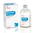 QIVITAN INIET FL 100ML 25MG/ML