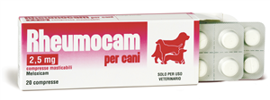 RHEUMOCAM 20CPR MAST 2,5MG