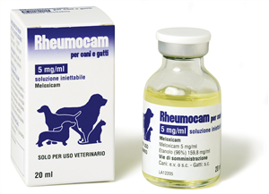 RHEUMOCAM INIET FL20ML 5MG/ML