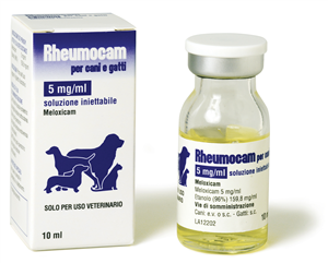 RHEUMOCAM INIET FL10ML 5MG/ML