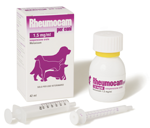 RHEUMOCAM OS FL42ML 1,5MG/ML