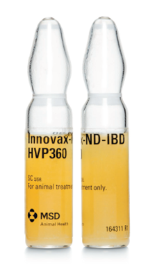 INNOVAX ND IBD F 2000D 2ML INNOVAX ND IBD F 2000D 2ML