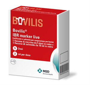 BOVILIS IBR MARKER LIVE 5DOSI