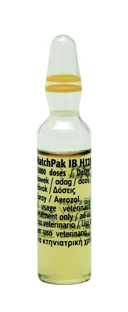 HATCHPAK IB H120 1F IB 15000D HATCHPAK IB H120 1F IB 15000D