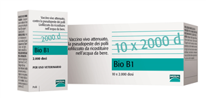 BIO B1 OS LIOF 10FL 1000D