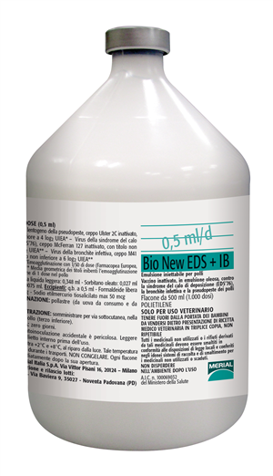 BIONEW EDS+IB FL 1000D 500ML