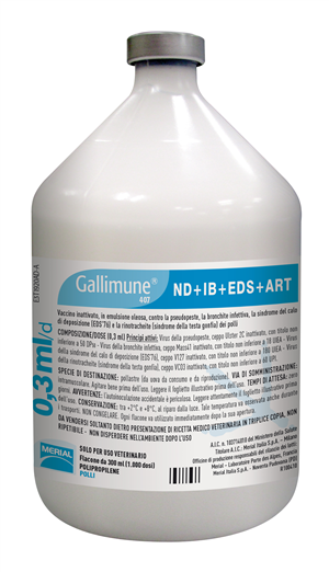 GALLIMUNE407 ND+IB+EDS+ART 1FL GALLIMUNE407 ND+IB+EDS+ART 1FL