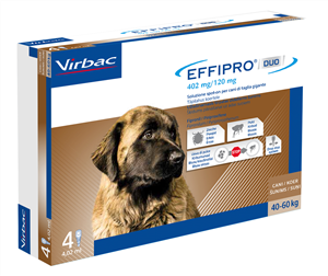 EFFIPRO DUO 4PIP 40-60KG CANI