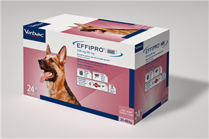 EFFIPRO DUO 24PIP 20-40KG CANI