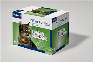 EFFIPRO DUO 24PIP 1-6KG GATTI