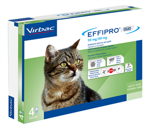 EFFIPRO DUO 4PIP 1-6KG GATTI