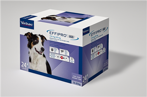 EFFIPRO DUO 24PIP 10-20KG CANI