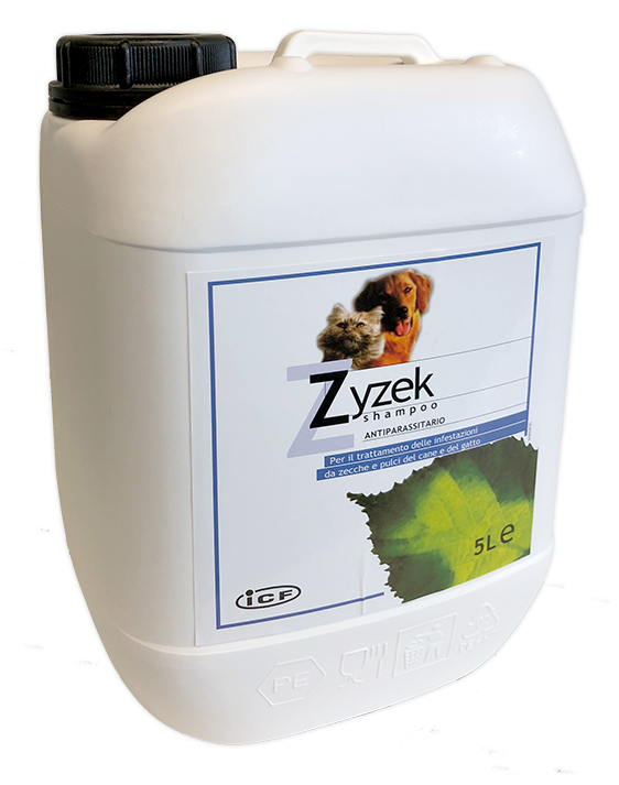 ZYZEK SHAMPOO ANT FL PE 5LT ZYZEK SHAMPOO ANT FL PE 5LT