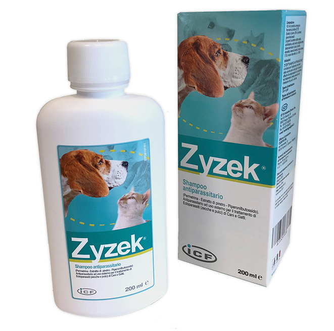ZYZEK SHAMPOO ANT FL PE 200ML ZYZEK SHAMPOO ANT FL PE 200ML