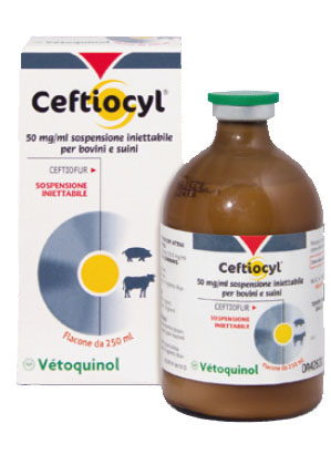 CEFTIOCYL INIET FL 250ML CEFTIOCYL INIET FL 250ML
