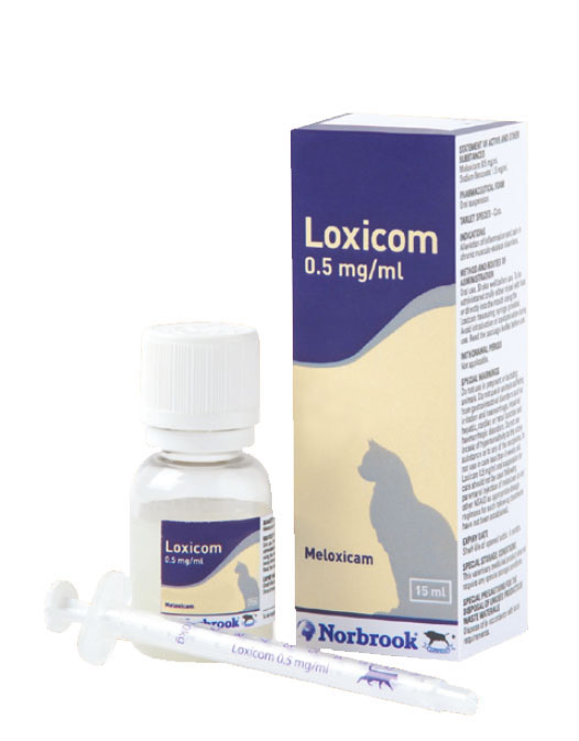 LOXICOM OS 15ML 0,5MG/ML GATTI