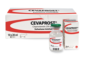 CEVAPROST IM 10FL20ML250MCG/ML