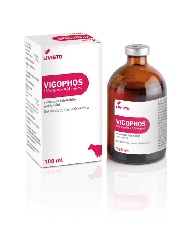 VIGOPHOS INIET FL 100ML