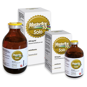 MASTERFLOX 10 SOLO INIET FL100