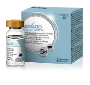 BOVALTO RESPI INTR 5D+10ML SOL
