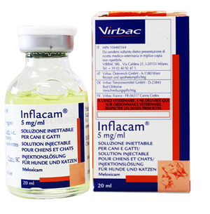 INFLACAM INIET 20ML 5MG/ML INFLACAM INIET 20ML 5MG/ML