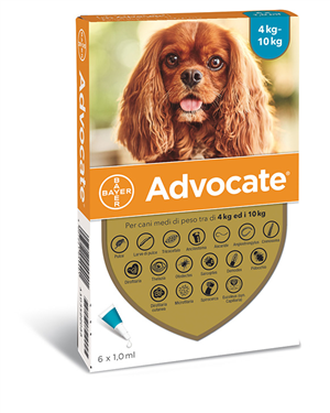 ADVOCATE SP 6PIP 4-10KG CANI