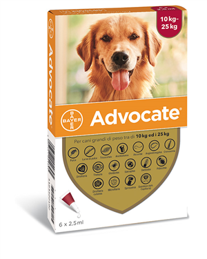 ADVOCATE SP 6PIP 10-25KG CANI