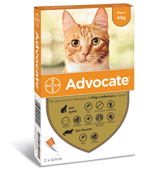 ADVOCATE SP 2PIP 4KG GATTI/FU