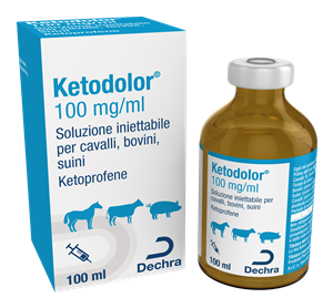 KETODOLOR FL 100ML 100MG/ML KETODOLOR FL 100ML 100MG/ML