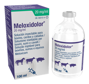 MELOXIDOLOR INIET100ML 20MG/ML
