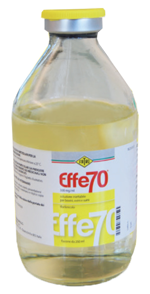 EFFE 70 INIET FL 250ML300MG/ML