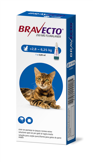 BRAVECTO 1PIP 2,8-6,25KG GATTI