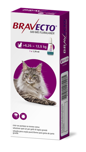 BRAVECTO 1PIP6,25-12,5KG GATTI