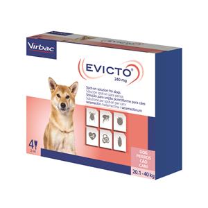EVICTO 4PIP 20-40KG 240MG CA EVICTO 4PIP 20-40KG 240MG CA