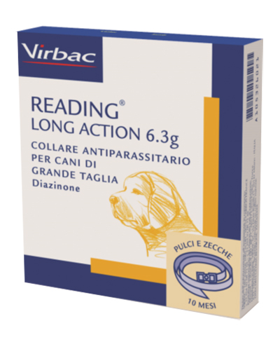 READING LONG ACT CANI GRANDI READING LONG ACT CANI GRANDI