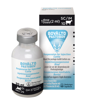 BOVALTO PASTOBOV FL 20ML10DOSI