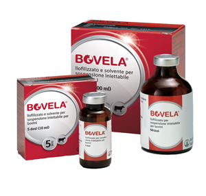 BOVELA FL 50D+FL 100ML